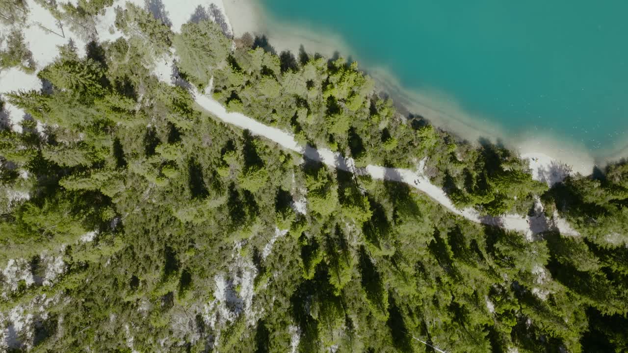 toma aérea del río con barcos y sendero en el bosque de pinos, lago di braies, italia, dolomitas