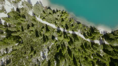 aerial drone shot of the river with boats and path in the pine forest, lago di braies, italy, dolomites