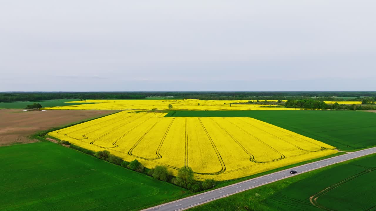 Evening aerial vibrant crop contrast with green fields and grey skies at dusk