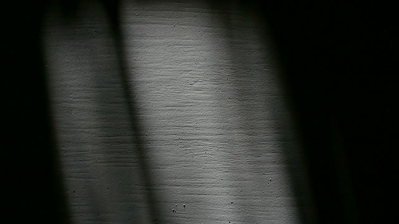 벽에 그림자를 남니다.