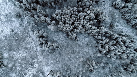 overhead view of snowscape forest park in winter mountains