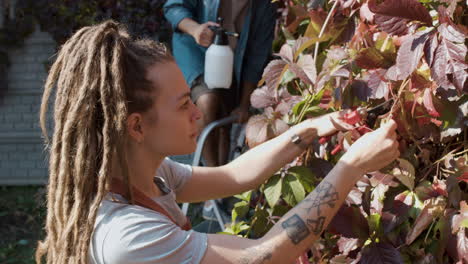 people taking care of plants