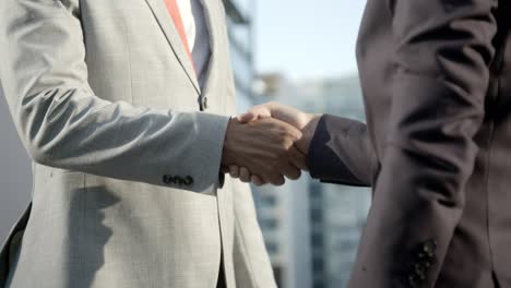 people wearing formal wear shaking hands outdoor