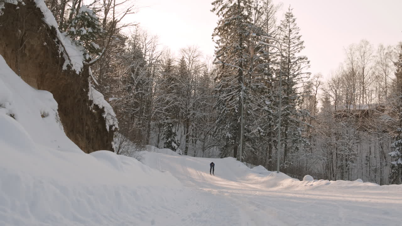 esquí de fondo en el bosque nevado
