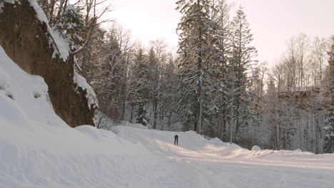 cross-country skiing in snowy forest