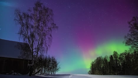 Blue-Purple-and-Green-colors-flickering-at-night-sky-during-Aurora-Borealis-in-North-Europe-during-cold-winter-day