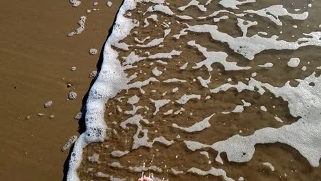 Schaumige-Meeresflut-In-Zeitlupe,-Die-über-Den-Goldenen-Tropischen-Sandstrand-Wäscht