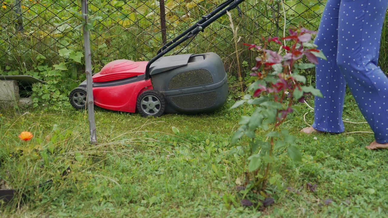 Electric lawn mower cuts the grass. Woman mowing lawn