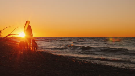 Una-Mujer-Joven-Camina-Con-Un-Perro-En-La-Orilla-Del-Lago-Ontario-Al-Atardecer-Clima-Ventoso-Hermosa-Atardecer