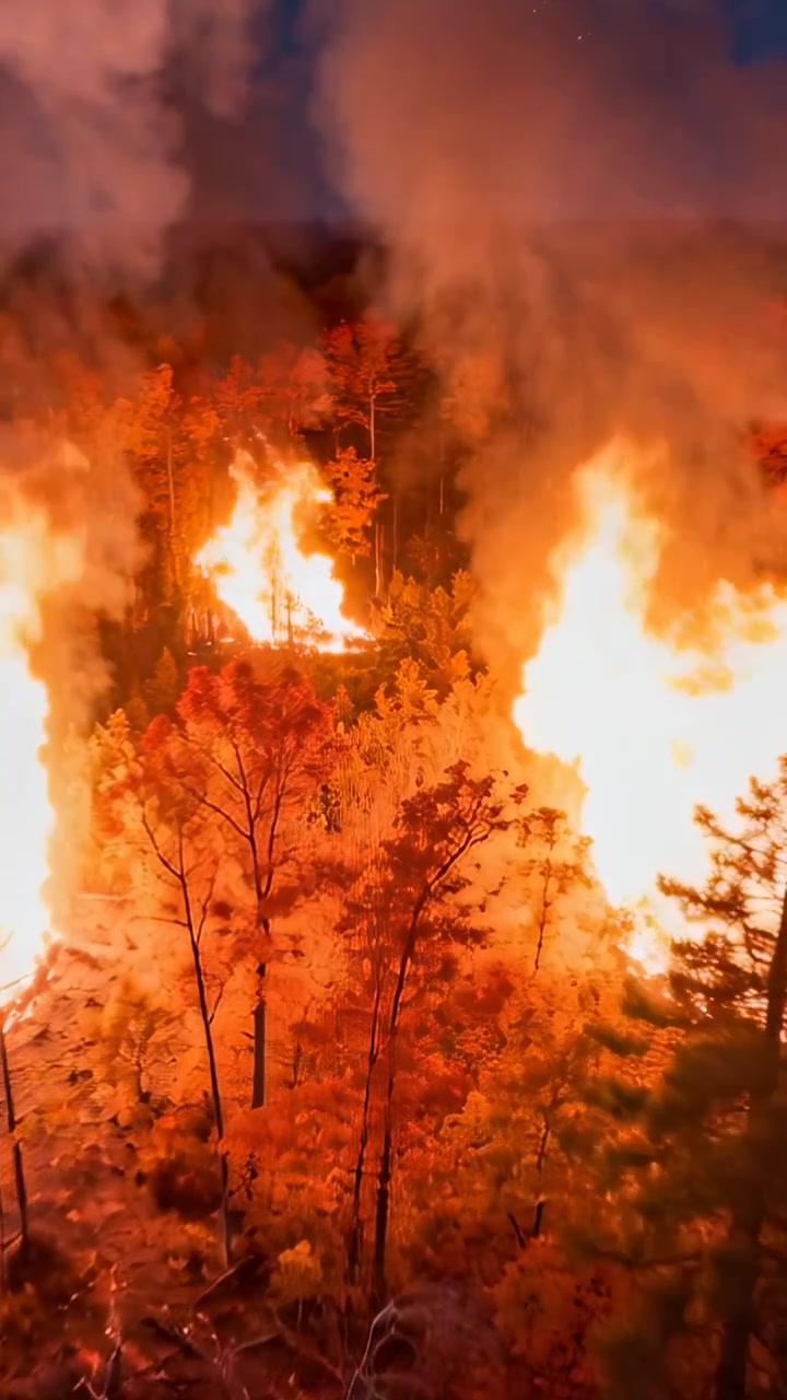Video verticale: Incendio boschivo furioso che produce grandi fiamme e fumo denso su un pendio boscoso, alimentato dal vento