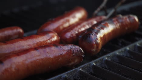 asar una kielbasa