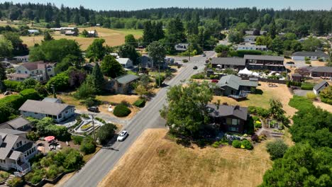 aerial view of rural houses in the small town of langley, washington