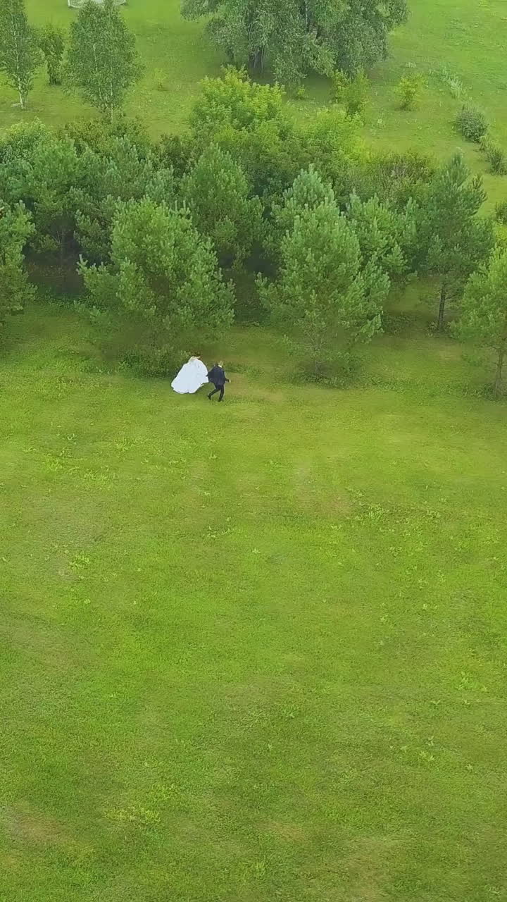 joyful bride in white dress and groom run along green field to trees on nice sunny day bird eye view
