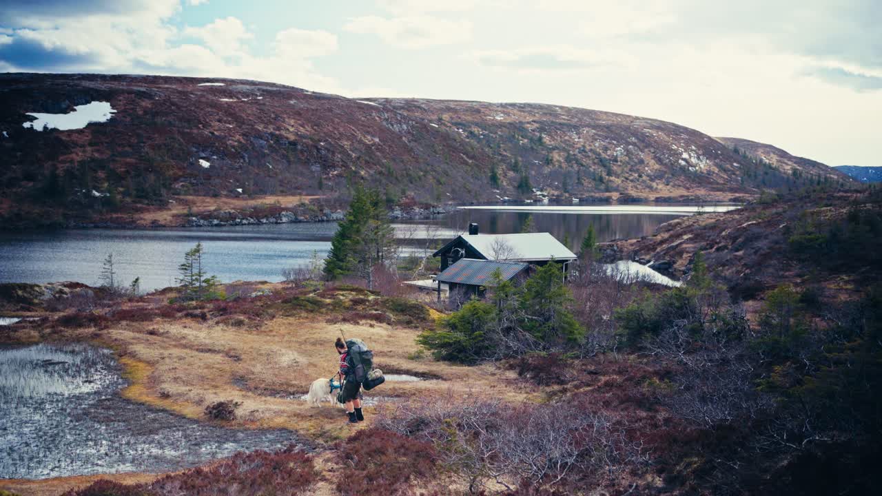 A Hiker With His Two Dogs Enjoying the Scenic Lakeshore of Reinsjøen in Åfjord, Trøndelag, Norway - Wide Shot