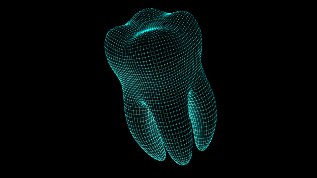링 영상은 4k 해상도를 가지고 있습니다.