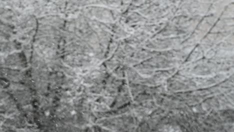 falling snow. blurred winter background