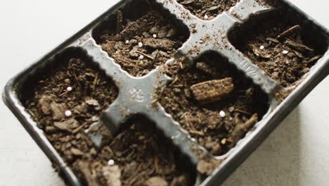 Video-of-seedling-tray-filled-with-soil,-bark-pieces-and-organic-fertilizer,-on-white-background