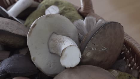 tilt down shot of mushrooms in a basket