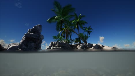 agua fangosa marrón y palmeras en la isla
