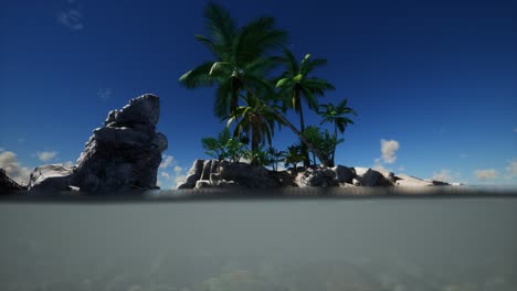 brown muddy water and palms on island