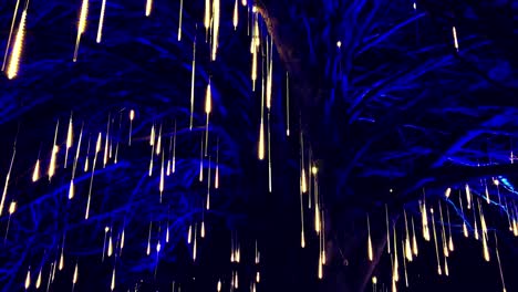 tree illuminated in blue lights with rain like lights