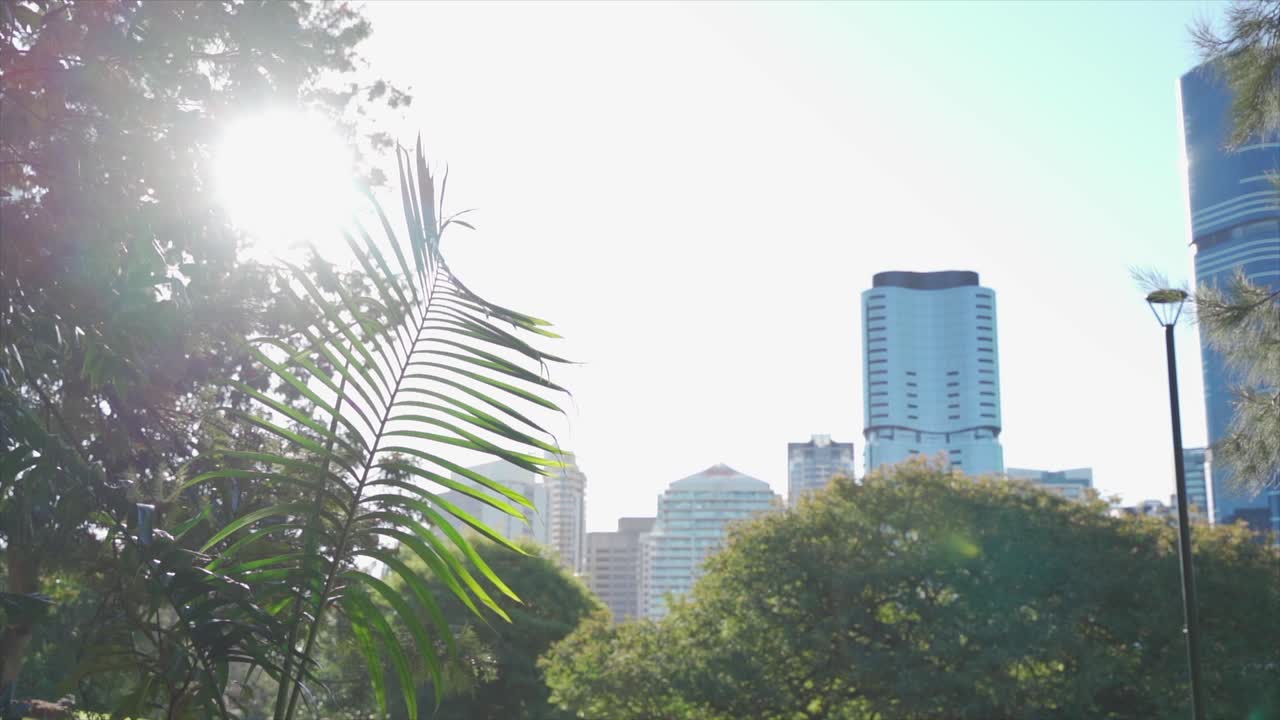 Um parque no centro da cidade