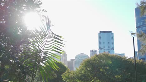 a park in the middle of the city