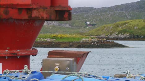 Eine-Aufnahme-Von-Angelausrüstung-Auf-Einem-Dock-Mit-Einigen-Seevögeln-Im-Hintergrund