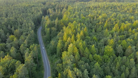 beautiful aerial of cars driving down rural highway road through forest at sunrise