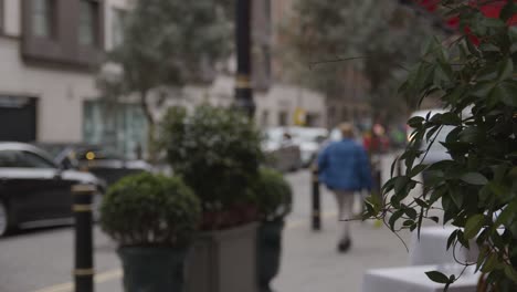 Pull-Focus-Shot-Of-Shops-And-Restaurants-With-People-On-Avery-Row-In-Mayfair-London-UK-2