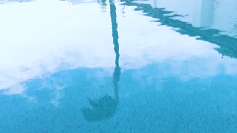 a steady shot captures the reflection of a palm tree and sky on a tranquil swimming pool surface, with gentle ripples and soft daylight