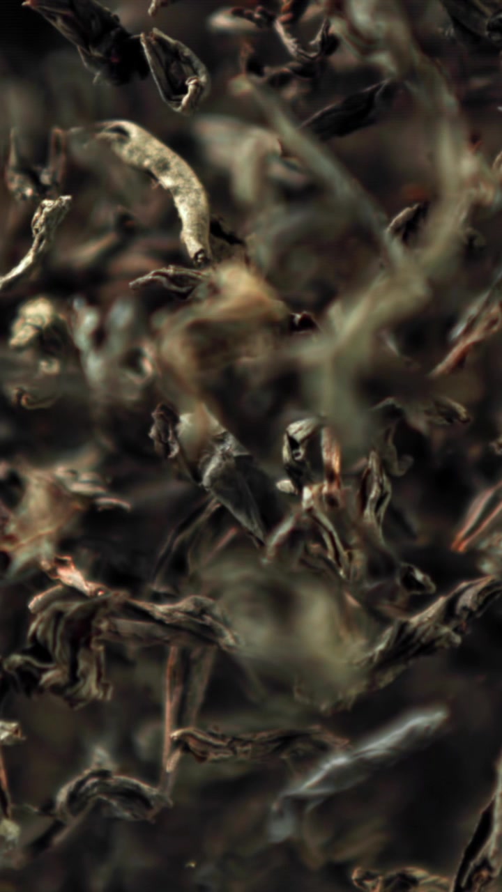 Dried Tea Leaves Gradually Coming into Sharp Focus