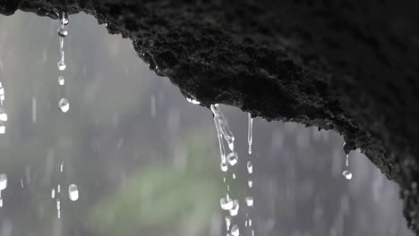 water drops falling from a rock