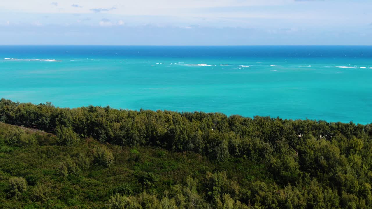 Drone in volo sopra la foresta, allontanandosi dalla spiaggia in una giornata di sole alle Hawaii