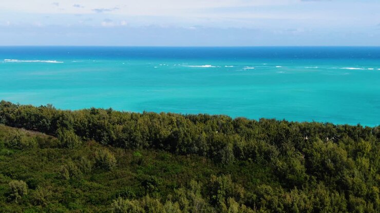 Drone in volo sopra la foresta, allontanandosi dalla spiaggia in una giornata di sole alle Hawaii