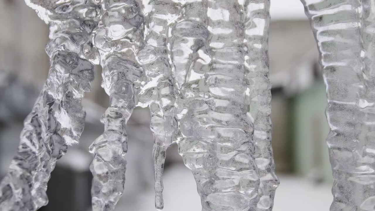 얼음 어리 근접