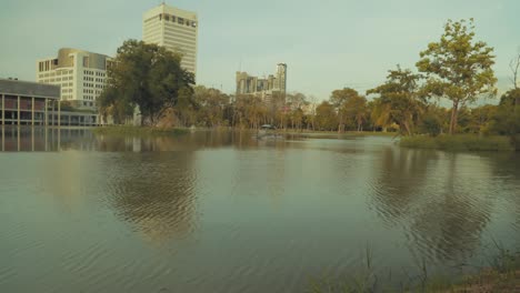 in the park and looking around. times flies