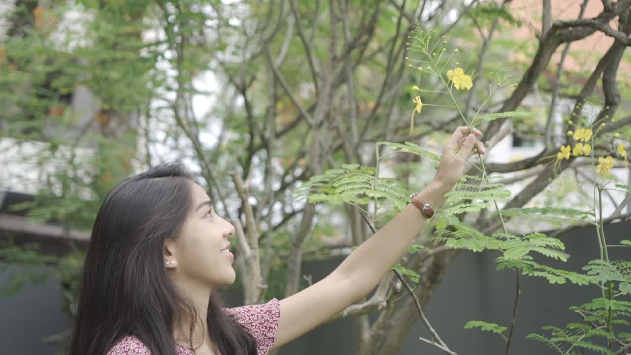 따뜻한 여름 동안 녹색 나무에 꽃을 만지고 웃는 여성