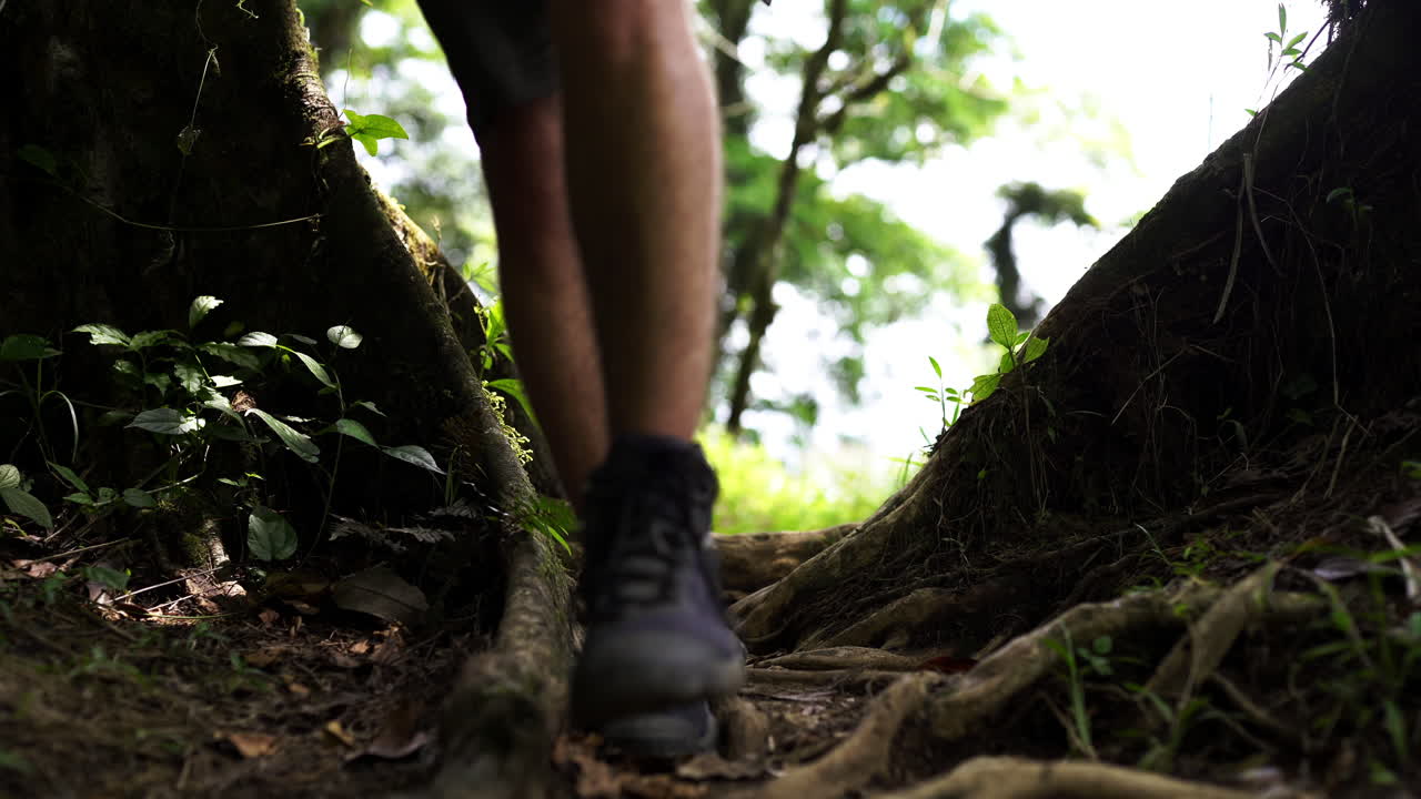 joven explorador masculino caminando a través de grandes raíces de árboles en la selva de costa rica centroamérica selva tropical inexplorada no contaminada descubrimiento de la madre tierra