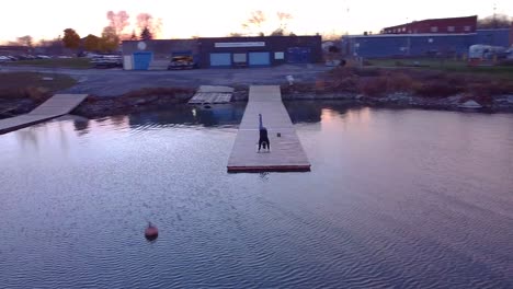 aerial view of a woman doing yoga on a dock