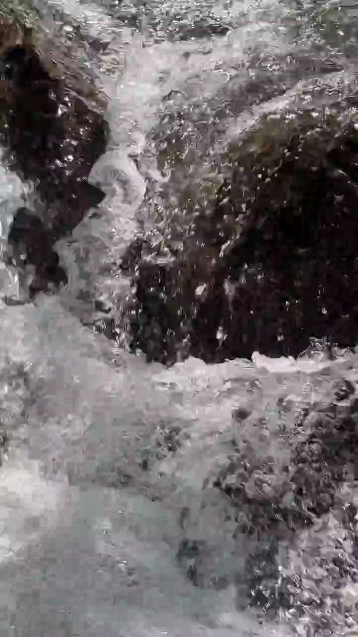 Acqua cristallina di ruscello di montagna che scorre su rocce scure