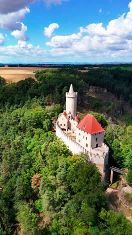 vertical aerial shot of kokorin castle in countryside landscape, czechia