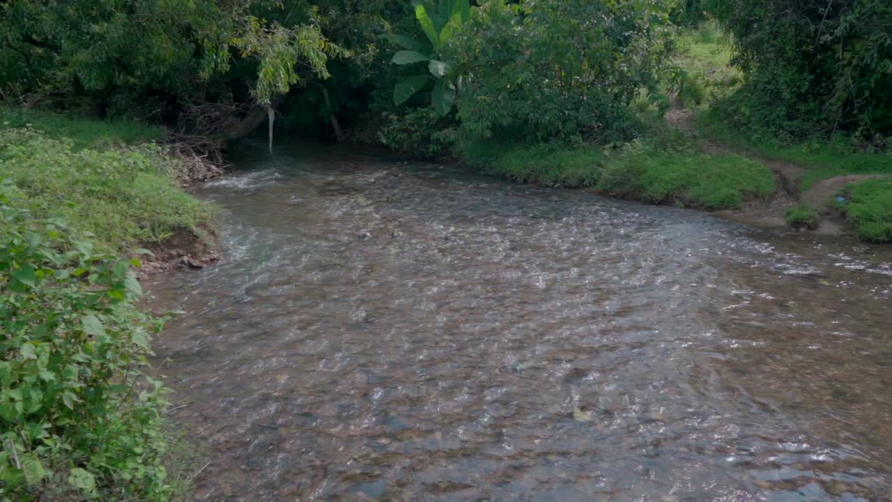 small clear water river going thrugh jungal