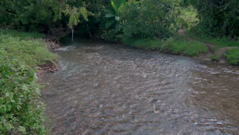 small clear water river going thrugh jungal