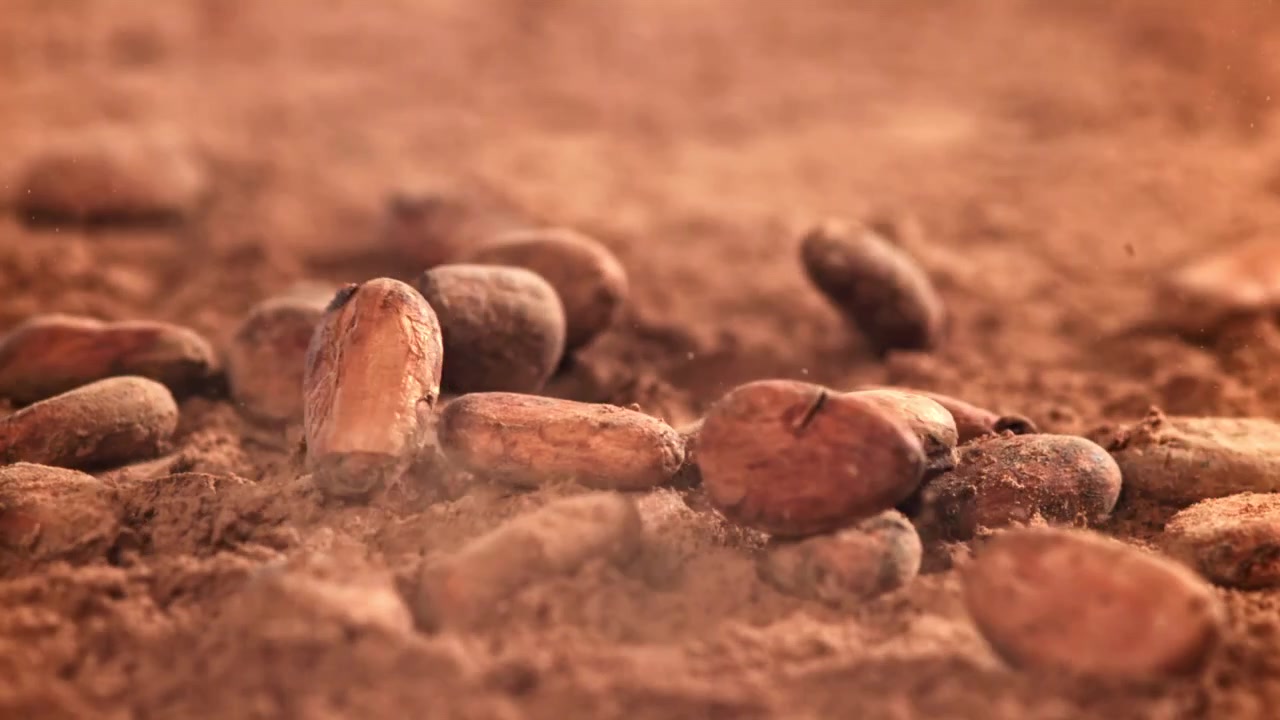Slow Motion Cocoa Beans Falling onto Cocoa Powder
