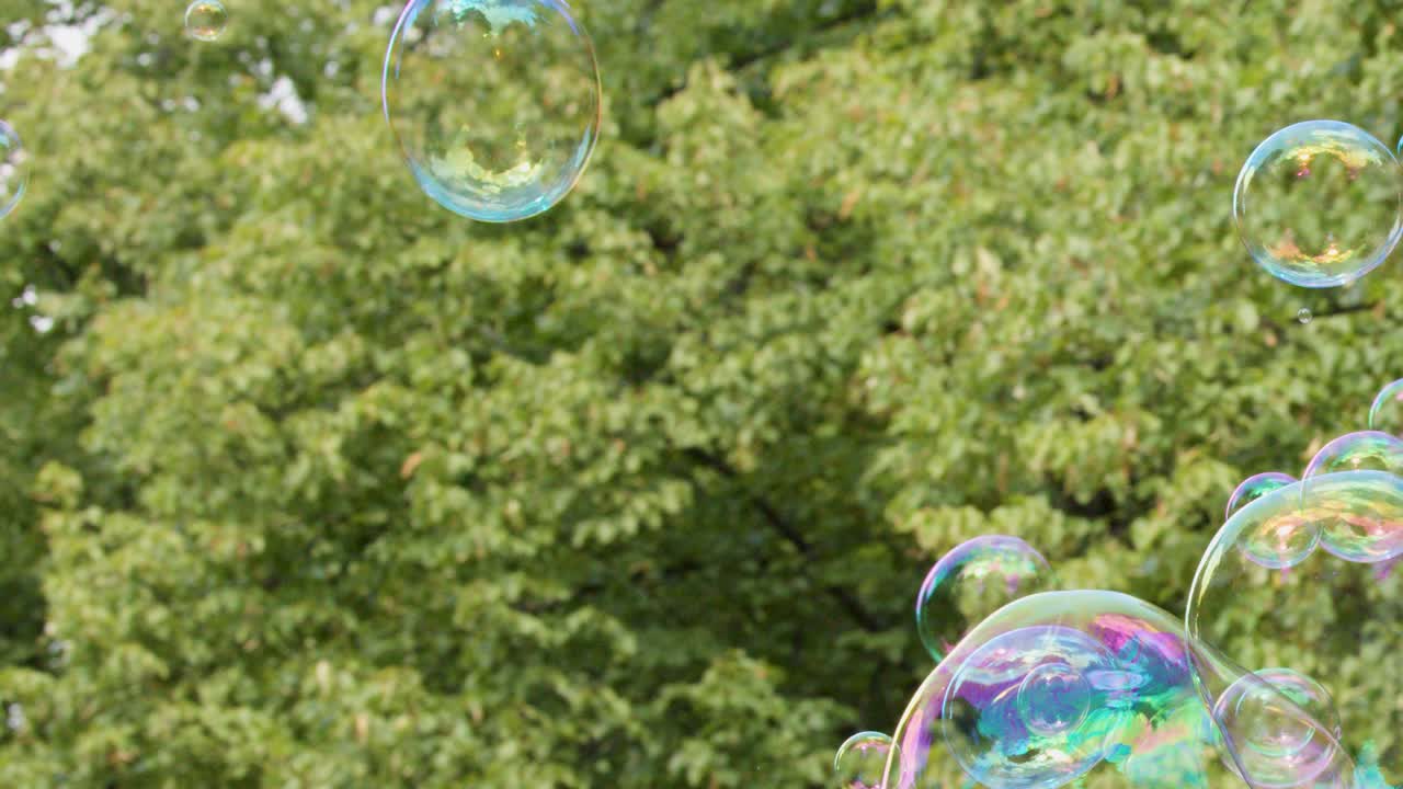 Bolle di sapone colorate fluttuano sullo sfondo di una lussureggiante foresta verde durante una luminosa giornata estiva