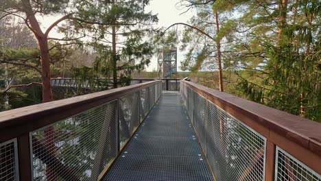 view of anyksciai laju takas, treetop walking path complex with a walkway, an information center and observation tower, located in anyksciai, lithuania near sventoji river