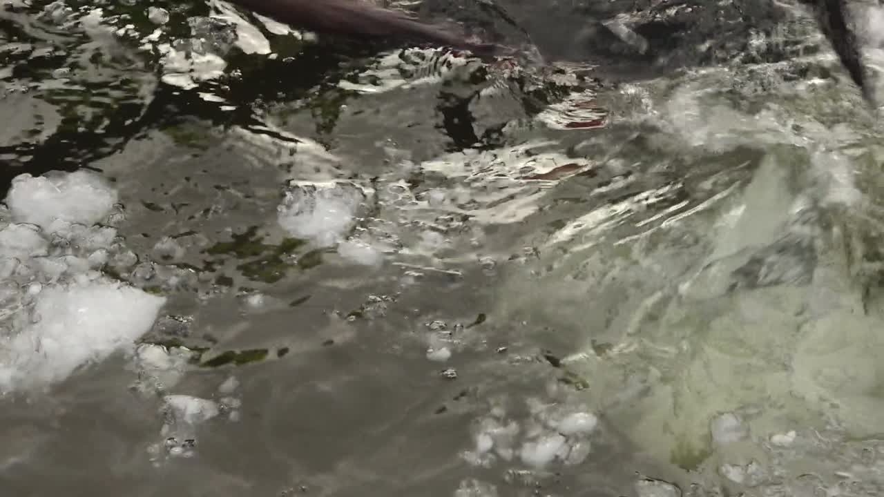 Primer plano de herramientas rompiendo y despejando hielo de un lago congelado, creando un agujero en el hielo en condiciones invernales, con trozos de hielo flotantes y textura de agua fría