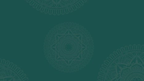 happy makar sankranti text animation