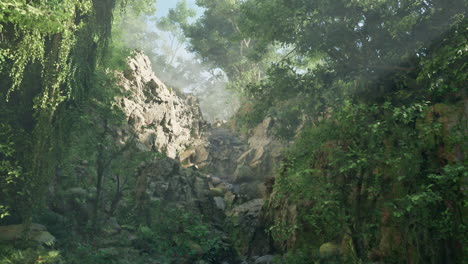 sunlit path through a lush green forest